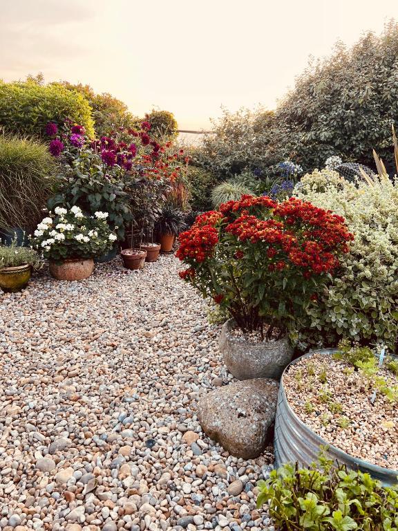 a garden with potted plants and flowers on a rocky ground at Pluto House in Kent