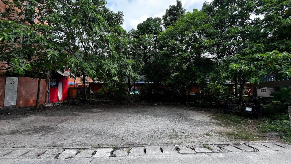 Coco Mountain View Guest House Hotel - Resim 30