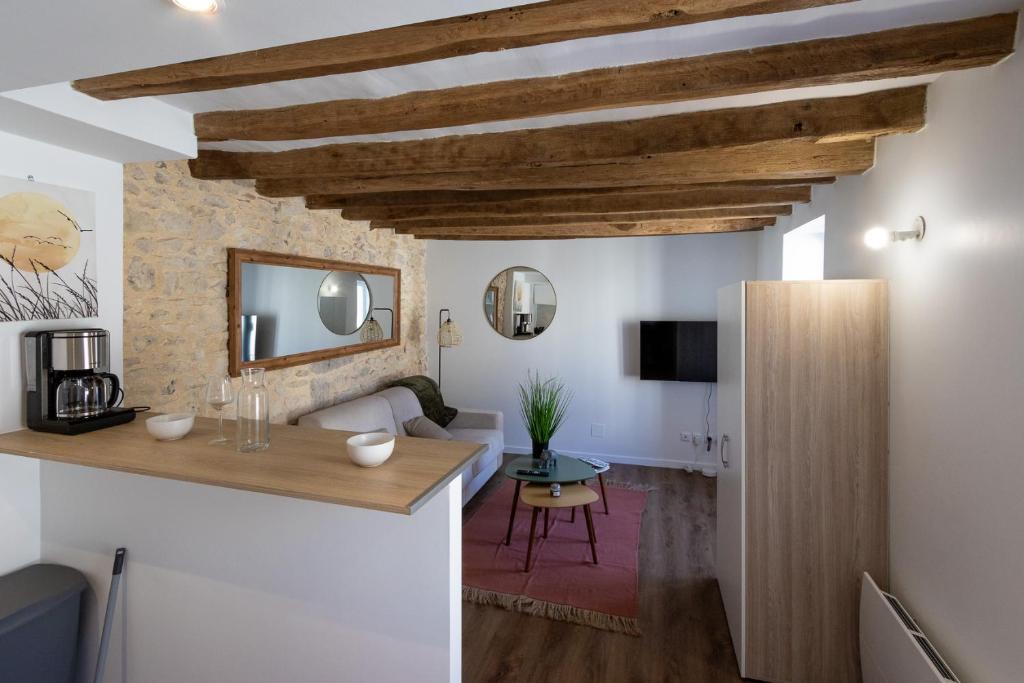 Il comprend une cuisine et un salon avec des plafonds en bois. dans l'établissement Studio Nature Bohème, à Montargis