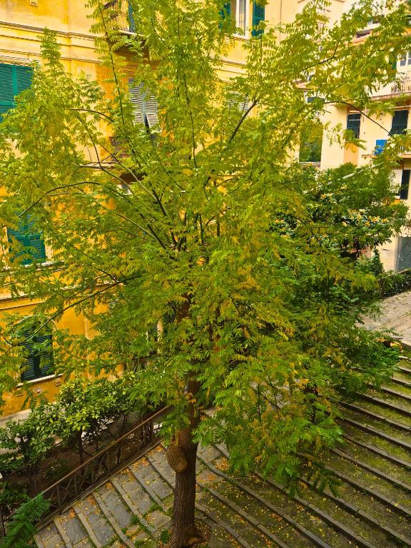 Vonkajšia záhrada v ubytovaní B&B Cernaia 42