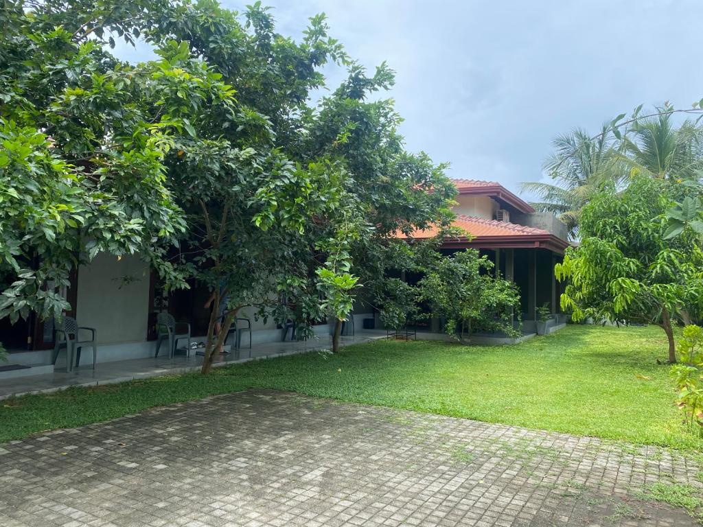 Zahrada ubytování Negombo 146 Homestay