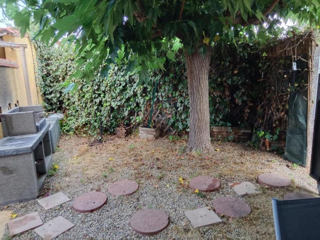 d'un jardin avec un arbre et quelques marches dans l'établissement CANET PLAGE Sud, à Canet