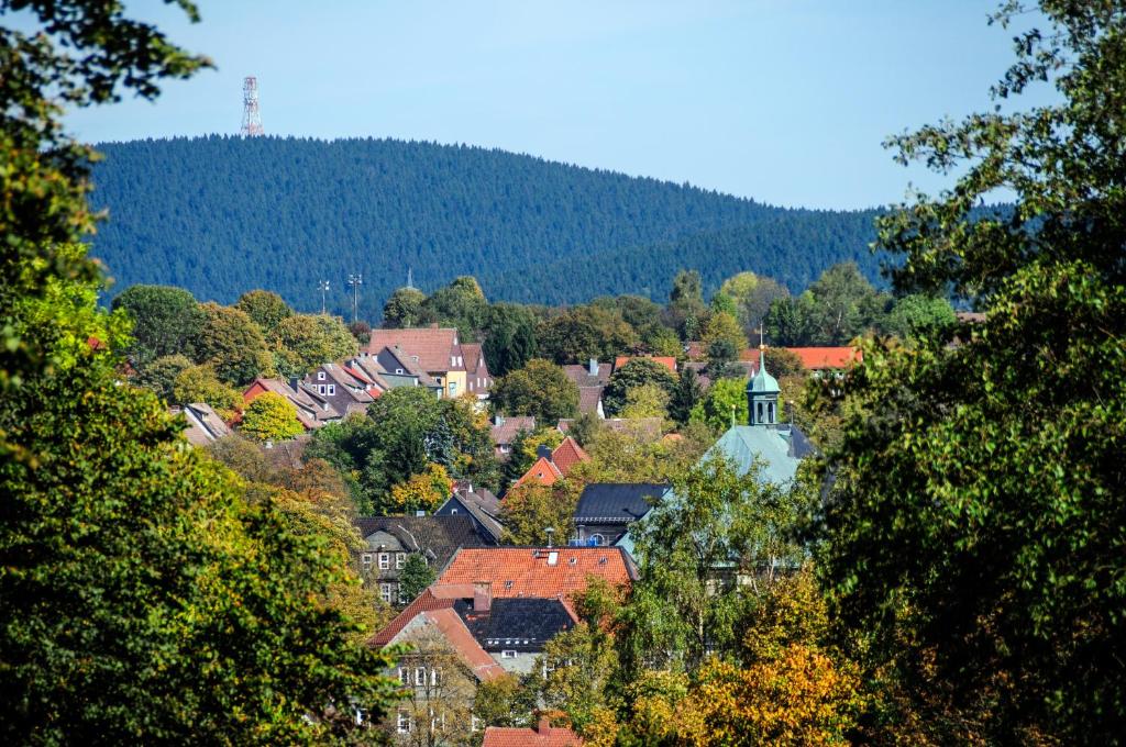 Příroda nedaleko hotelu