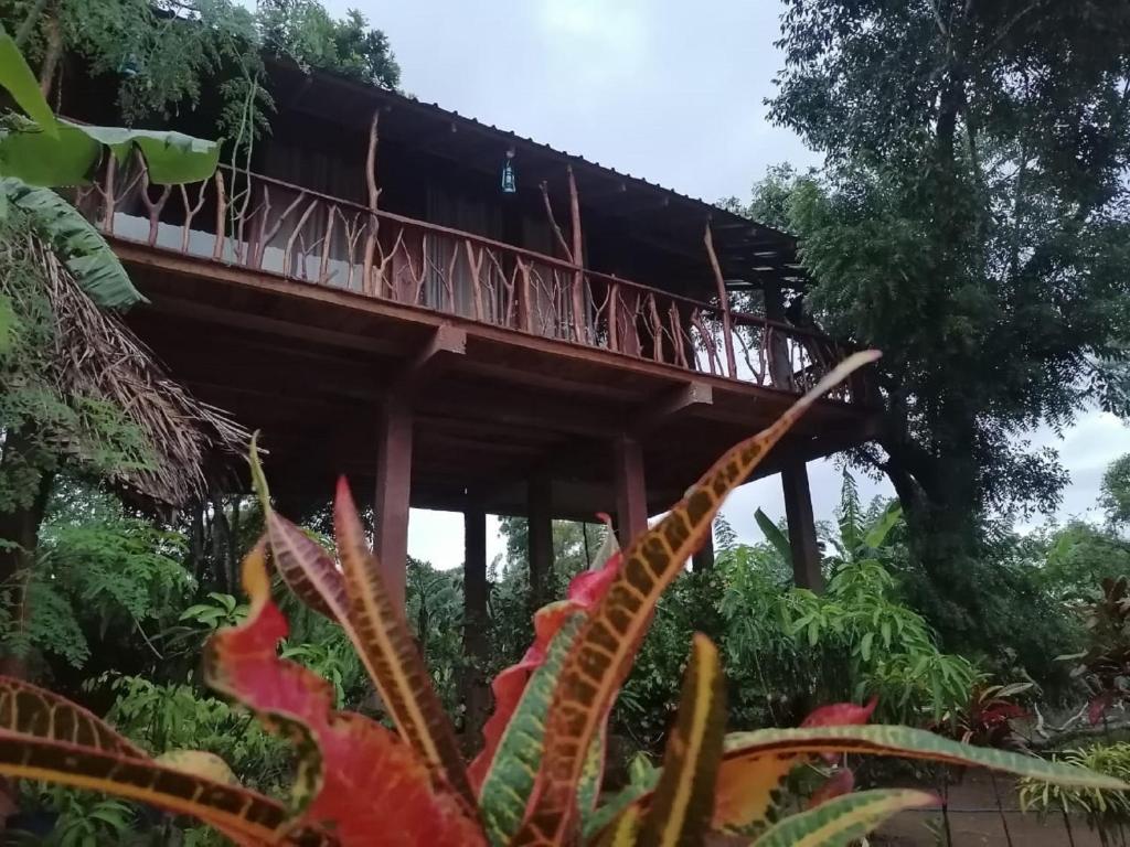 Zahrada ubytování Sigiriya Rock View Tree house