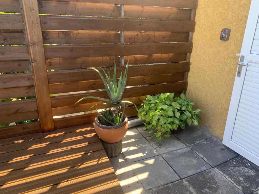 Zahrada ubytování Appartement Villèle