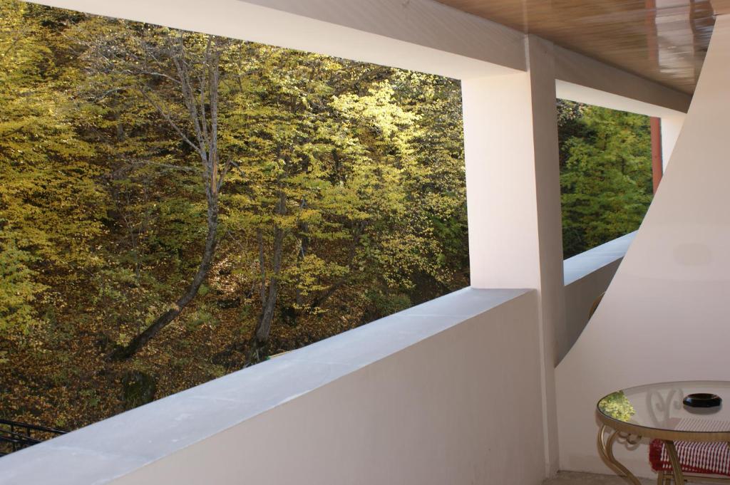 Zahrada ubytování Tsaghkahovit Hotel