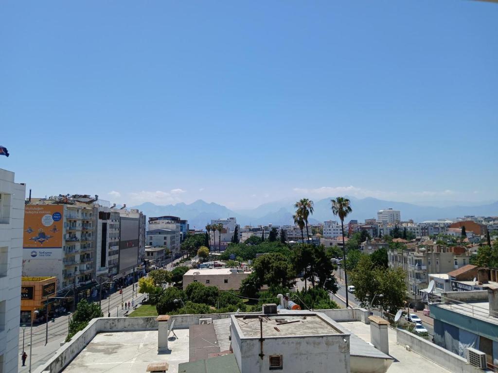 لابی و فضای عمومی Safari Otel - تصویر ۵