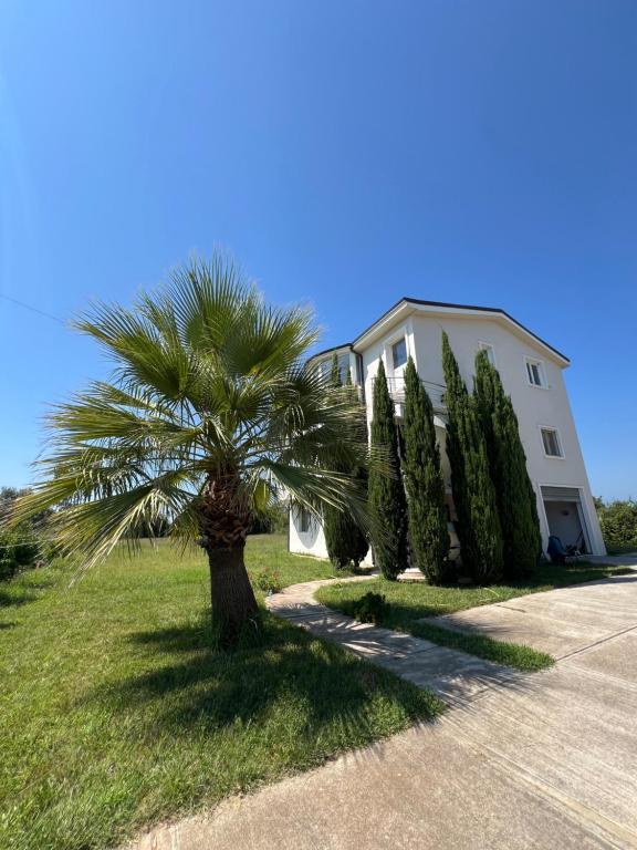 a palm tree in front of a house at The White Villa in Hamallë
