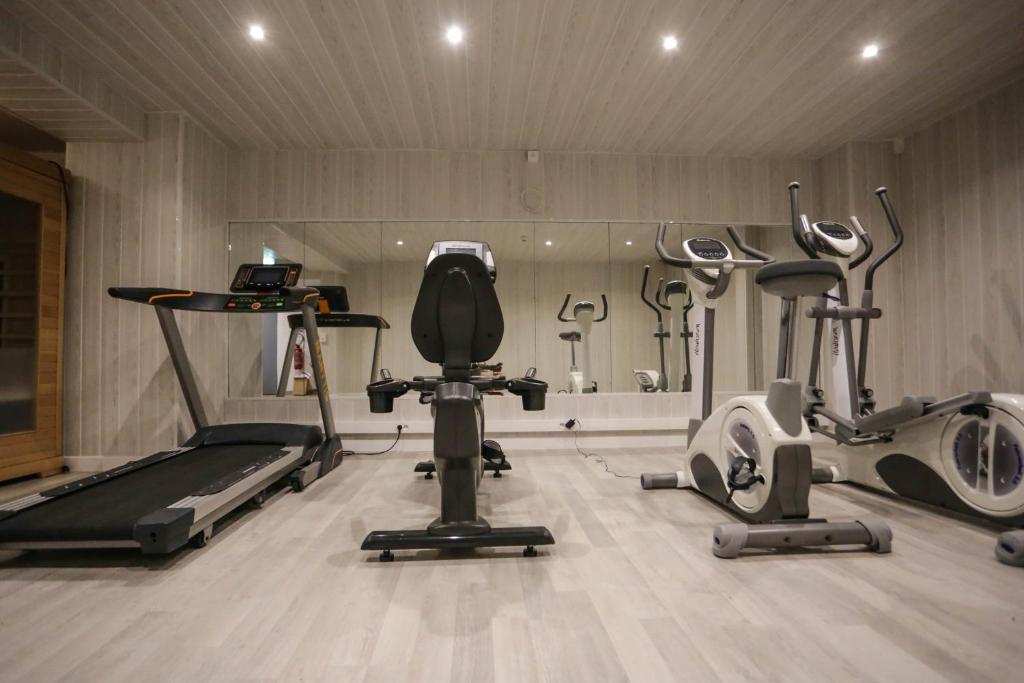 Fitness centrum a/nebo fitness zařízení v ubytování Alivi