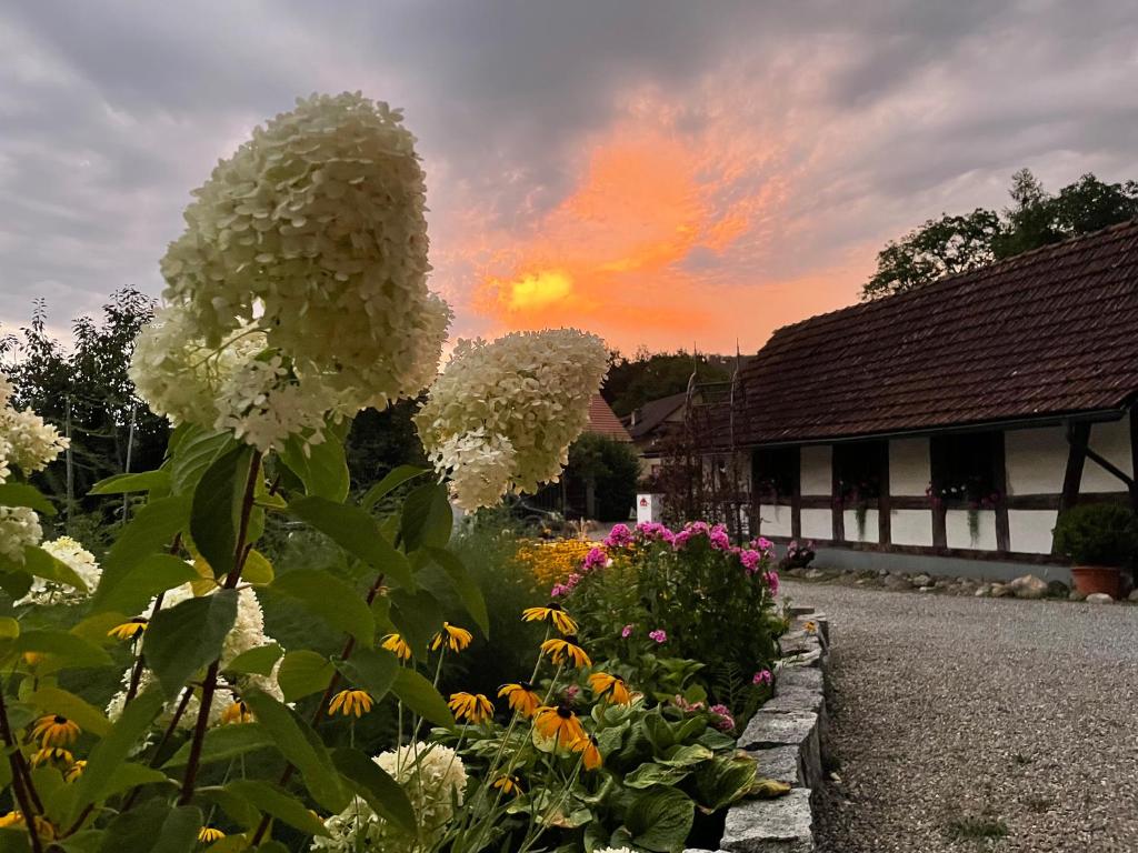 Zahrada ubytování B&B Siglistorf