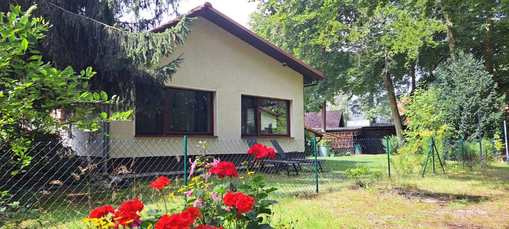 Zahrada ubytování Ferienwohnung Am See mit kleinem Boot und 3er Kajak und 2 SUP