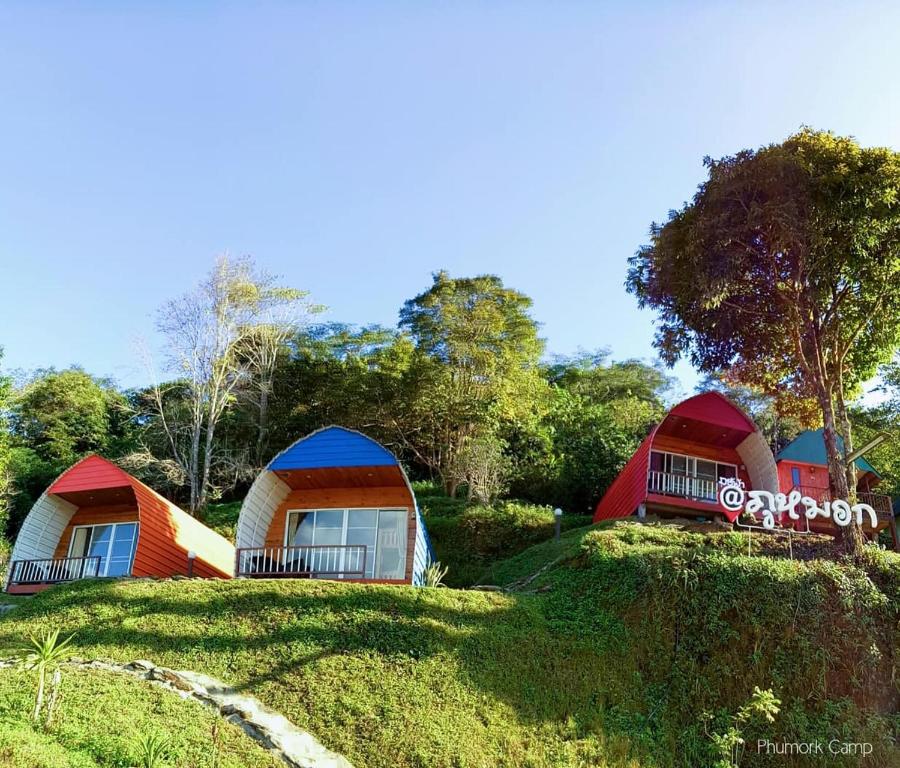 a row of pod houses on a grassy hill at Phumork Camp Phu Chi Fa in Ban Huai Han