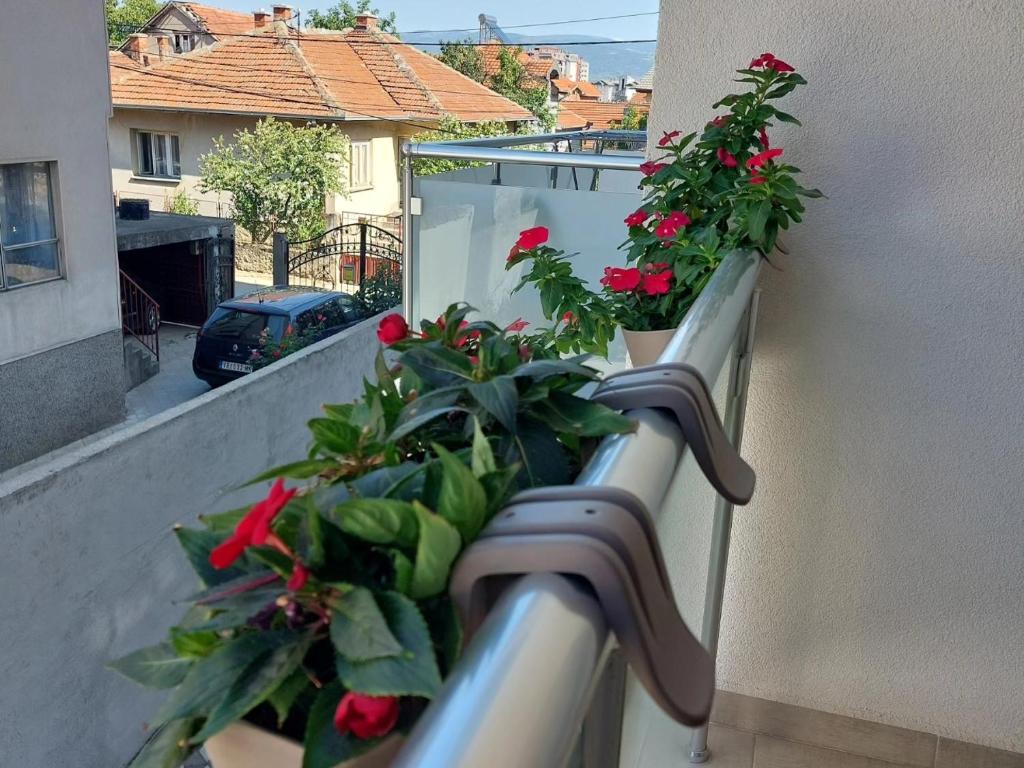 Balkón nebo terasa v ubytování Slatki Snovi - Novi apartman u centru Vranja - FREE PARKING