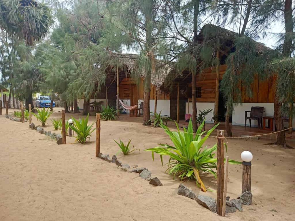 Zahrada ubytování Sand Dune Beach Resort & Surf Camp