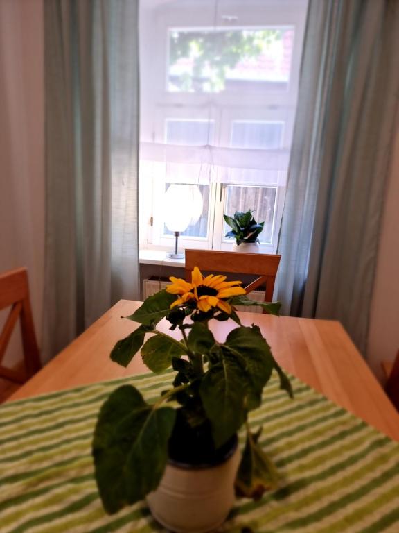 Ferienwohnung Böhm - Appartement Met één Slaapkamer