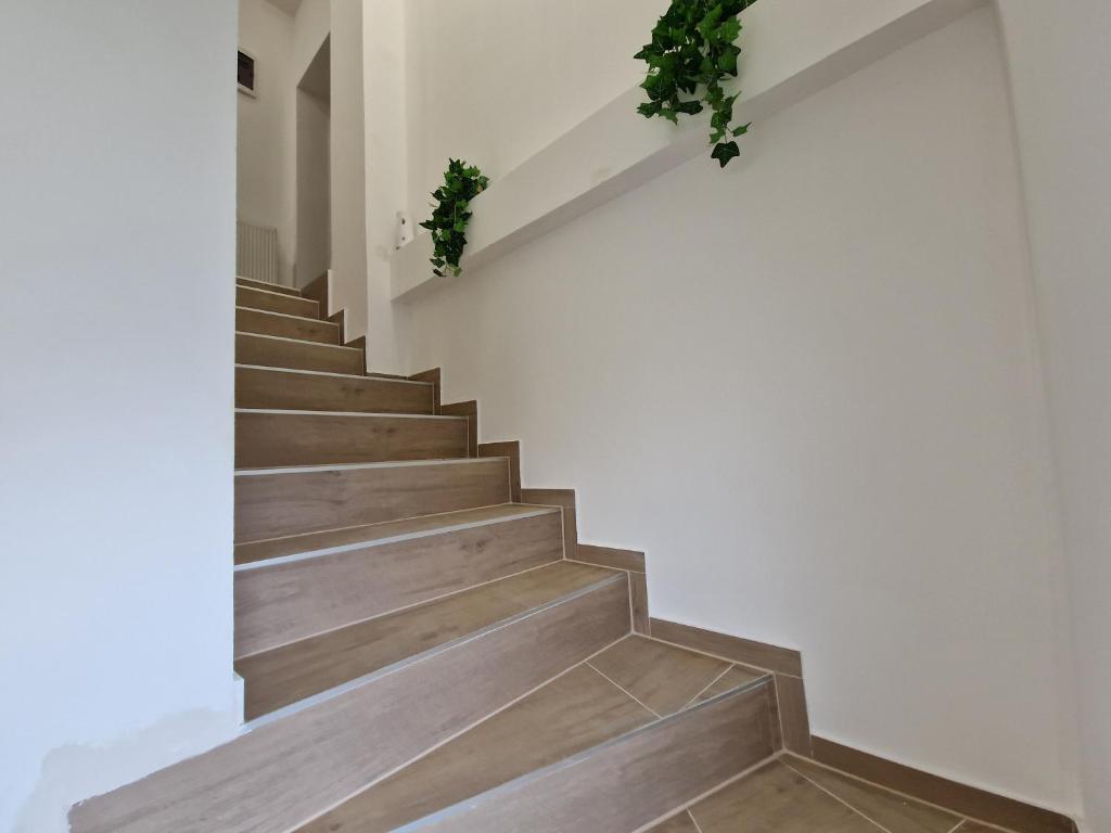 Apartment Luxury B - 17