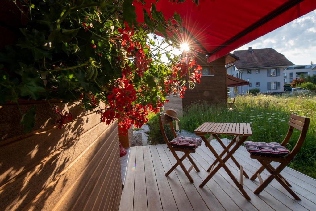 Příroda nedaleko apartmánu