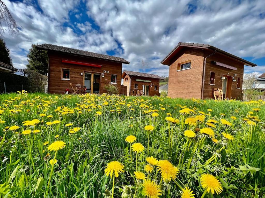 Zahrada ubytování Fiechtehüsli (tiny house)