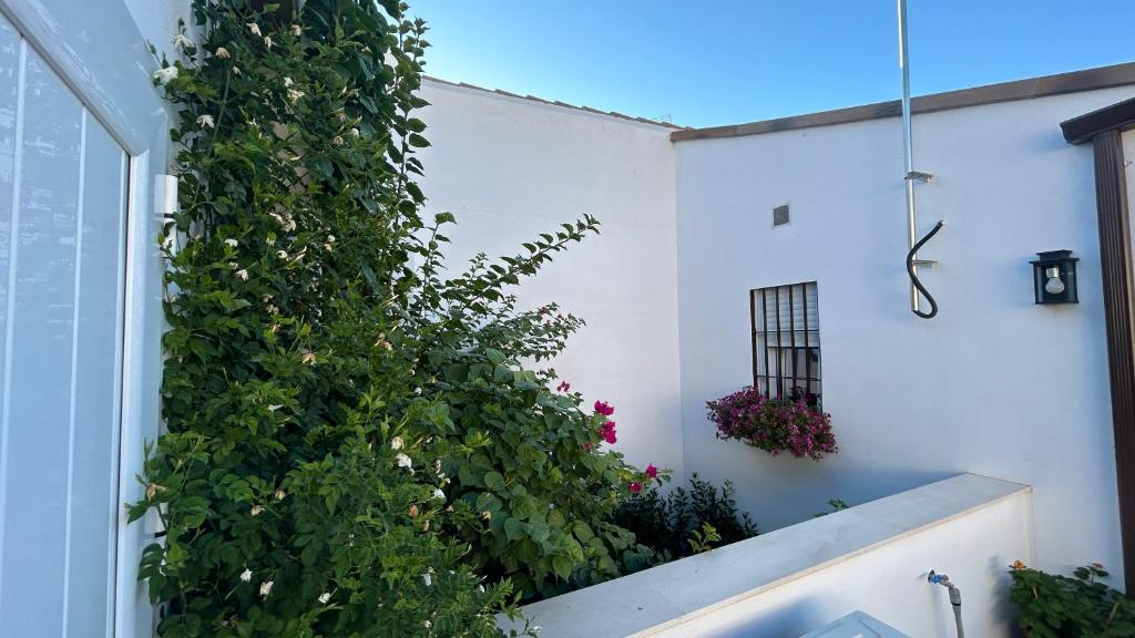 Fotografie z fotogalerie ubytování Leyendas en la Axerquía v destinaci Córdoba