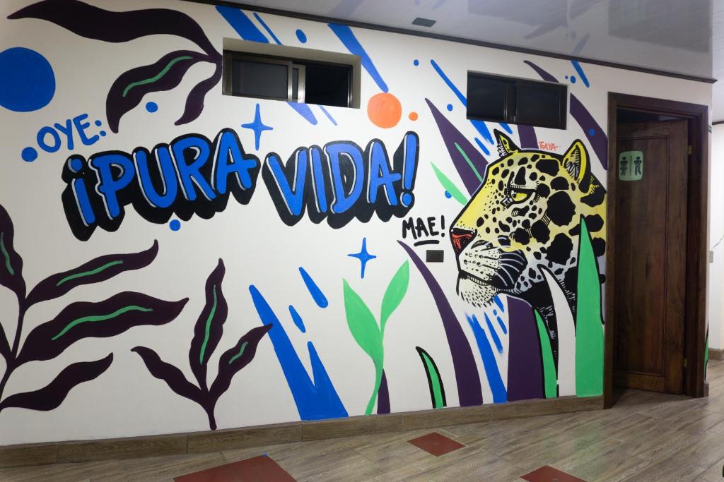 Fotografie z fotogalerie ubytování Argdivan Hostel v destinaci Fortuna