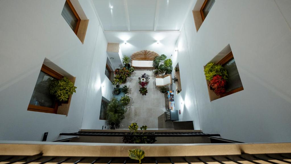 Fotografie z fotogalerie ubytování Aparthotel Luz de Gades - Suites Spa Gym - Adults Only v destinaci Cádiz