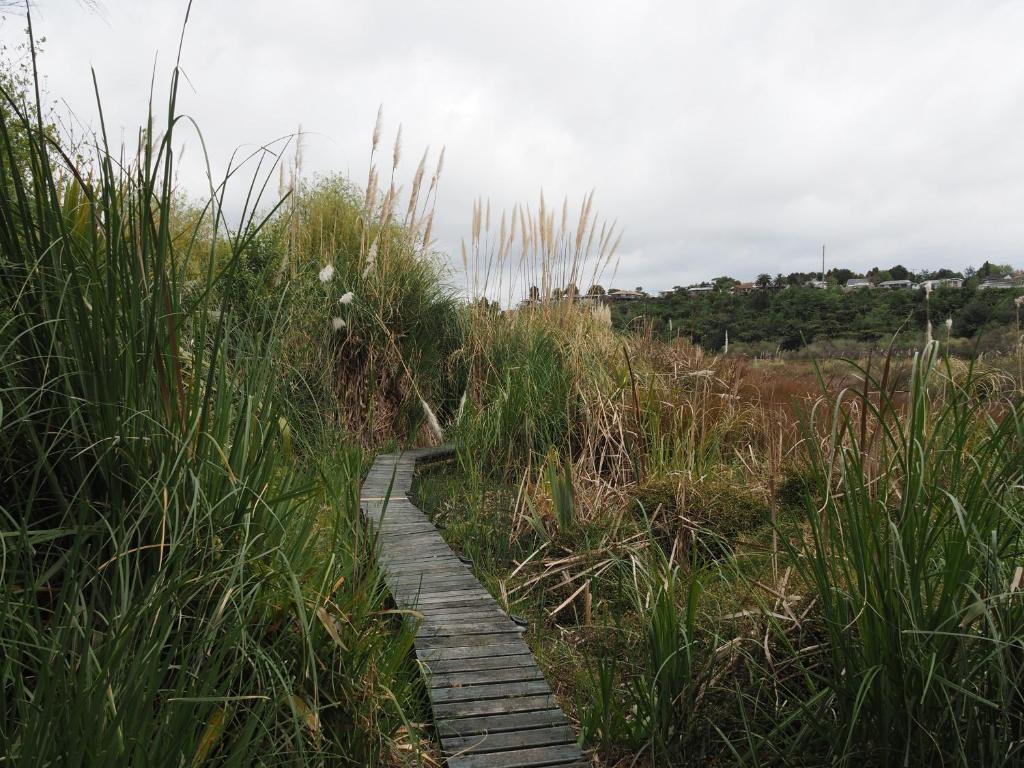 Uniqueness - Resim 15