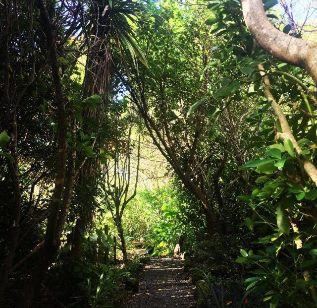 Uniqueness - Resim 20