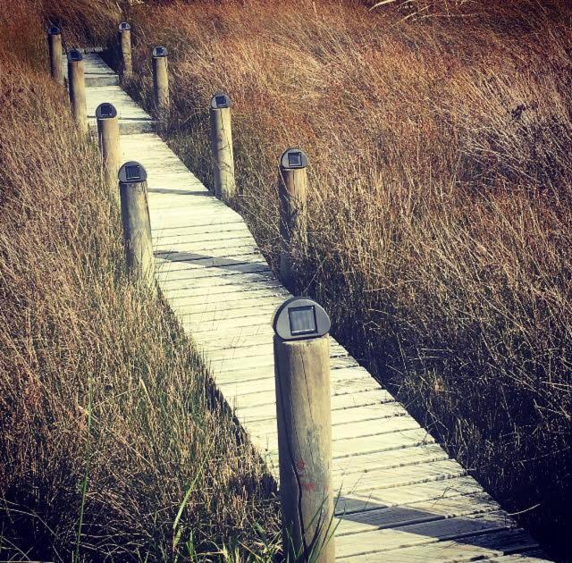 Uniqueness - Resim 21