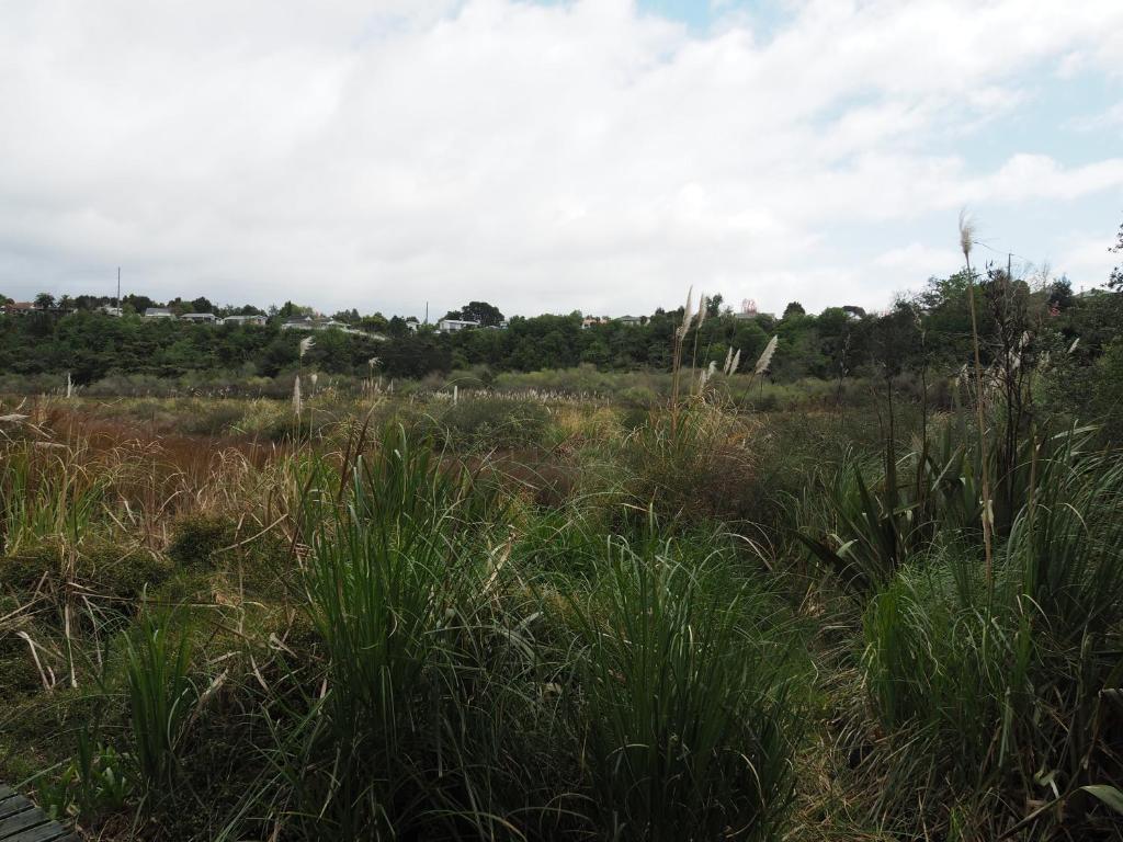 Uniqueness - Resim 26