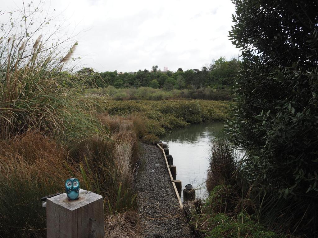 Uniqueness - Resim 32