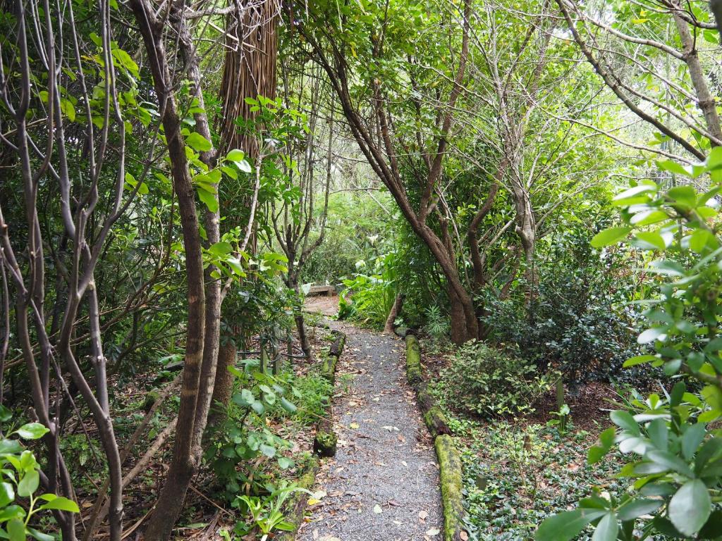 Uniqueness - Resim 33