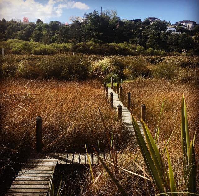 Uniqueness - Resim 1