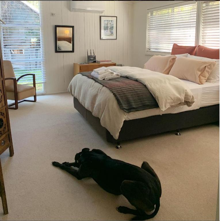 a black dog laying on the floor next to a bed at Ellerslie Cottage in Metcalfe