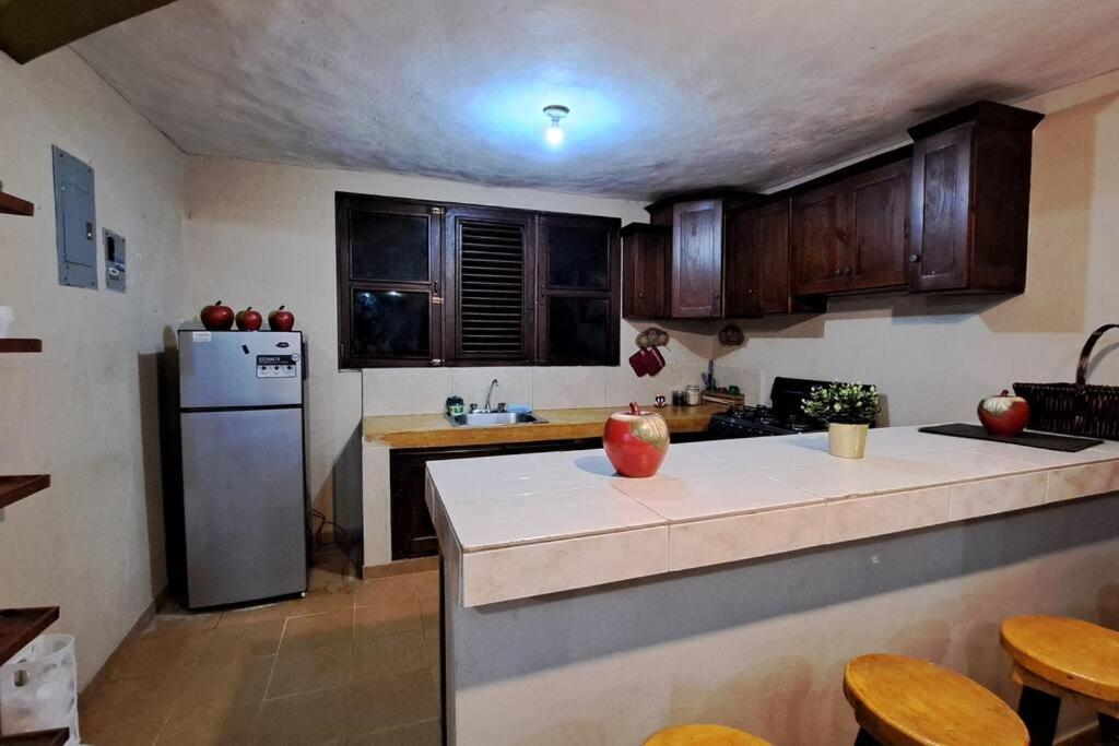 Kuchyň nebo kuchyňský kout v ubytování VILLA ANACAHUITA, Limonal