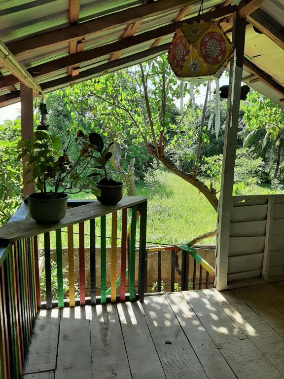 Zahrada ubytování Serenity house in Dambulla