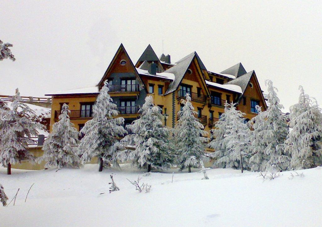 a large house with snow covered trees in front of it at Apartamentos Boabdil in Sierra Nevada
