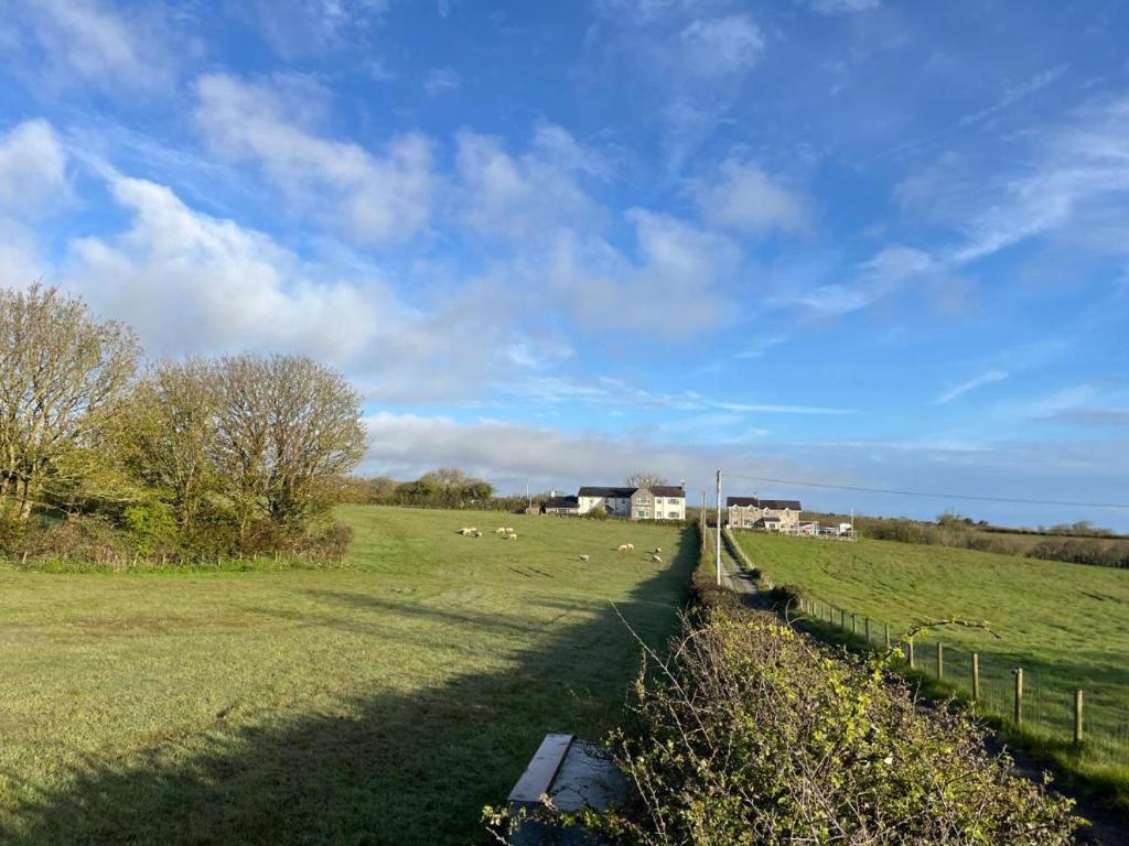 a field with a fence and a herd of sheep at Ty Dderw in Moelfre