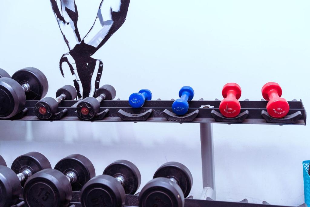 Fitness centrum a/nebo fitness zařízení v ubytování 247 Luxury Hotel