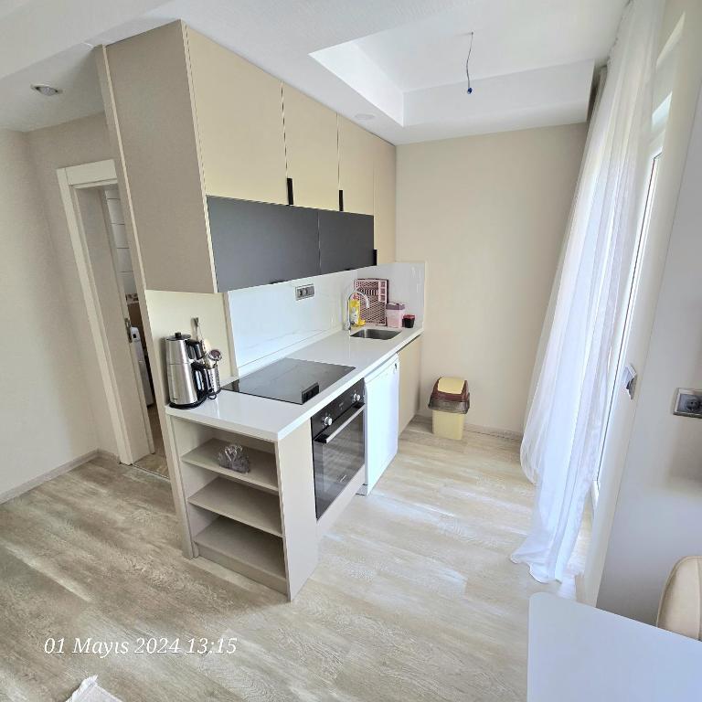 Kuchyň nebo kuchyňský kout v ubytování River Park Residence Lara