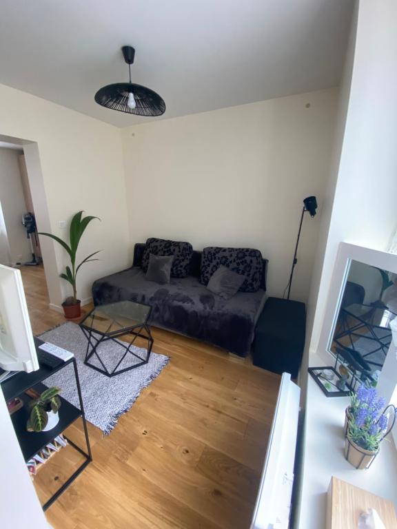 un salon avec un canapé et une table dans l'établissement Appartement confortable Stade de France, à Saint-Denis