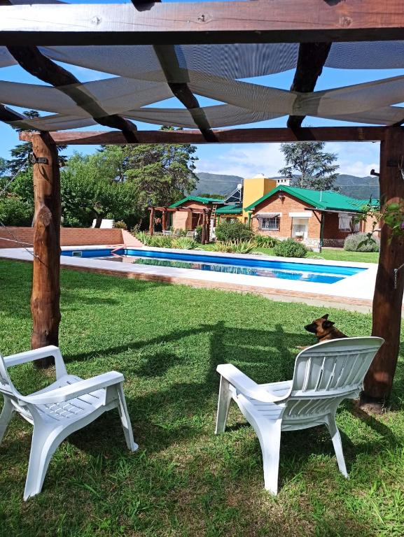 韦尔塔格兰德La Estrella 2的院子里有两把白色椅子和一只狗