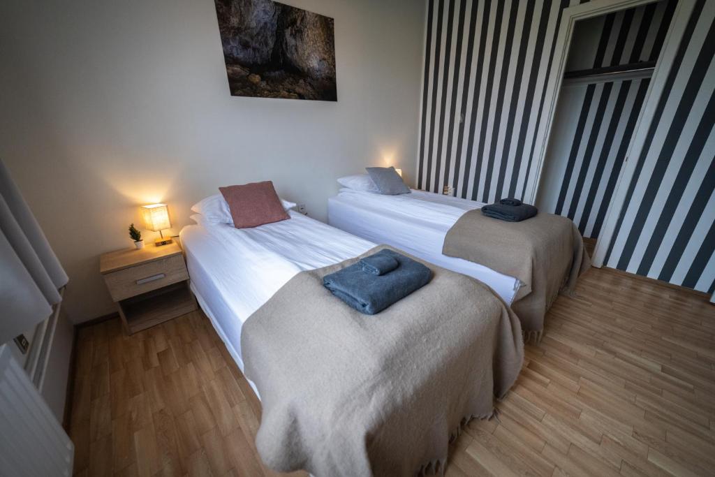 Postel nebo postele na pokoji v ubytování Snæfellsjökull Apartments