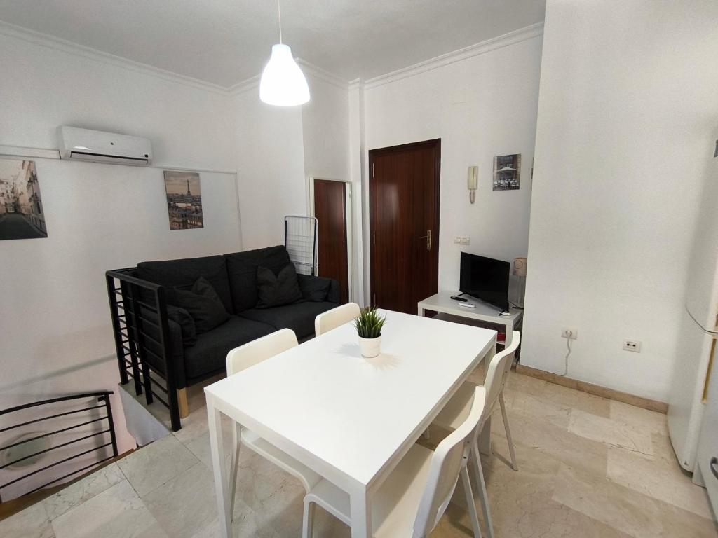 Cosy duplex flat in the heart of Malaga