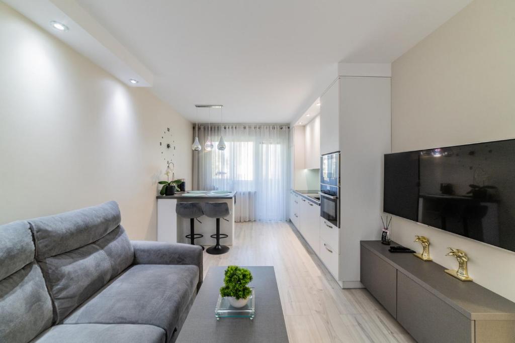 a living room with a couch and a flat screen tv at Amber Apartments in Šiauliai