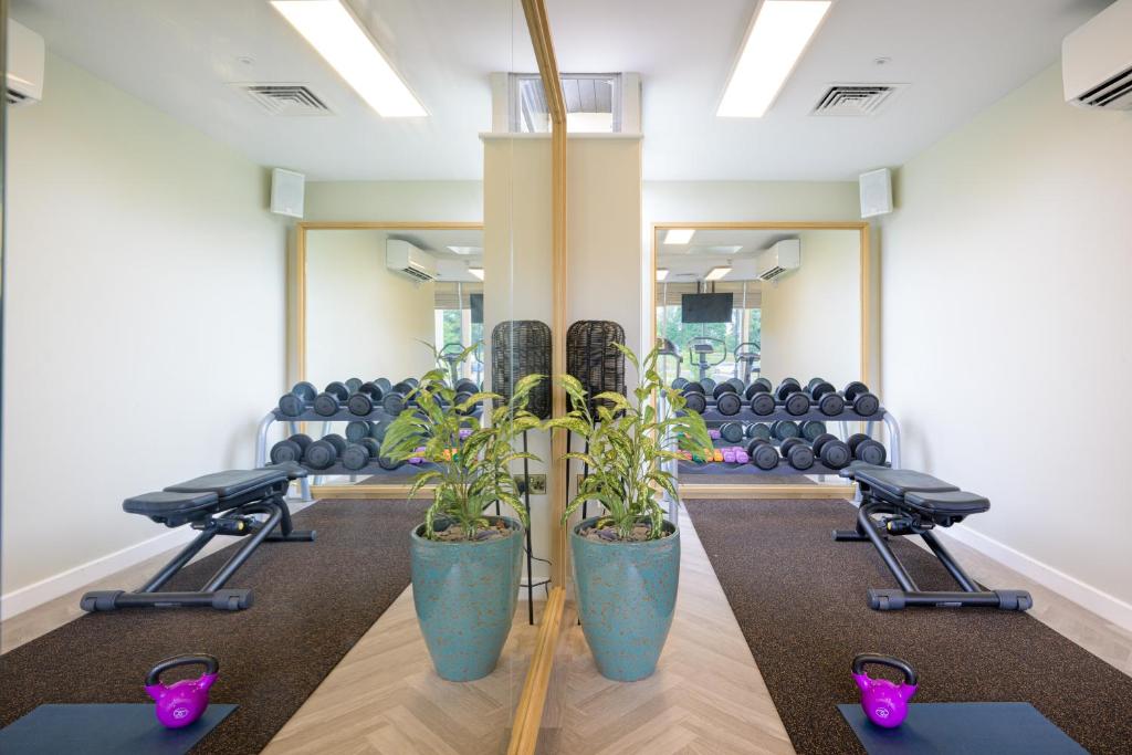 Fitness centrum a/nebo fitness zařízení v ubytování Reserve, by Warner Hotels - Heythrop Park