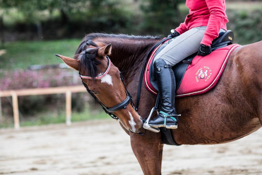 a woman riding on the back of a brown horse at Villa Il Poggio in Sinalunga