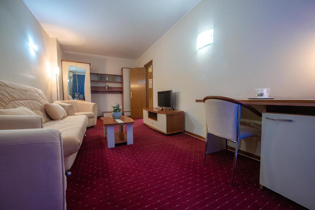 TV a/nebo společenská místnost v ubytování Hotel Doina