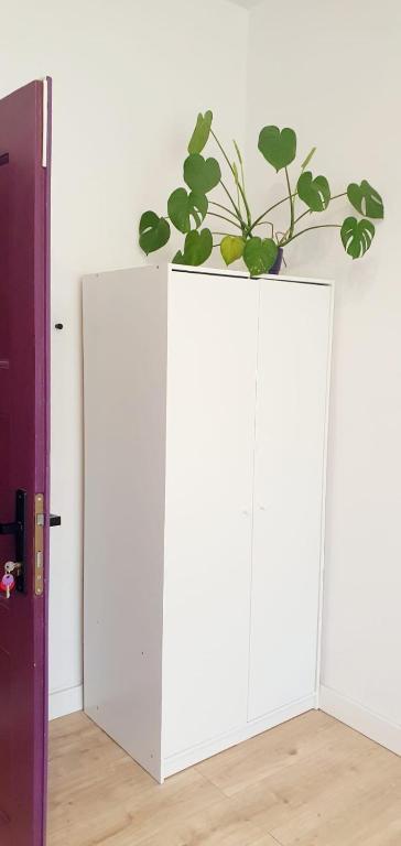 Pokoje Rybnicka 10 - Resim 9