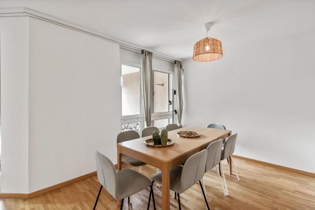 Spacious Apartment in Zurich - Resim 9