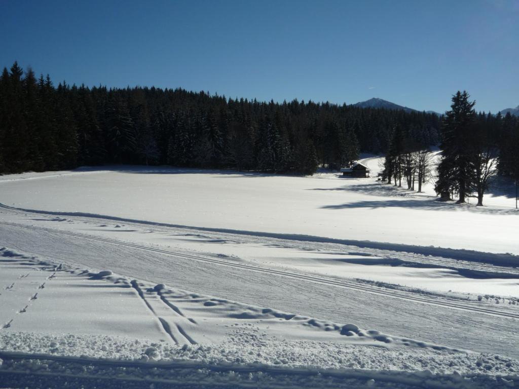 Kraftplatz am Dachstein - Herold - für Ruhesuchende und sportlich Aktive v zimě